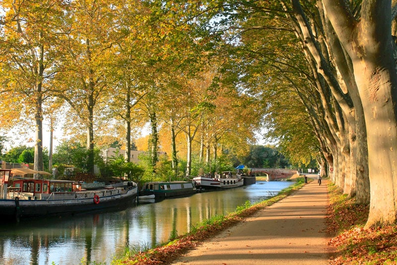 Canal bordé d'arbres et de péniches automnales