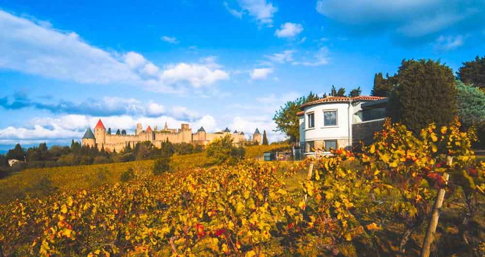 Vignes et château médiéval sous un ciel bleu.