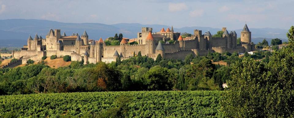 Cité médiévale de Carcassonne entourée de vignobles.
